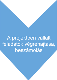 A projektben vállalt feladatok végrehajtása, beszámolás